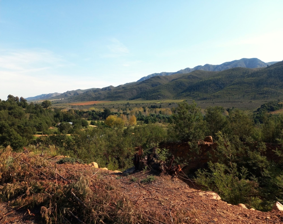 0 Bedroom Property for Sale in Haarlem Western Cape